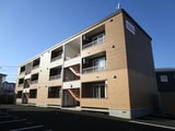 carrera(ｶﾚﾗ)