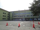 帯広市立若葉小学校(小学校)まで537m 西17南5借家(44-9)