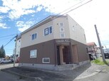 ｼｮｺﾗ437
