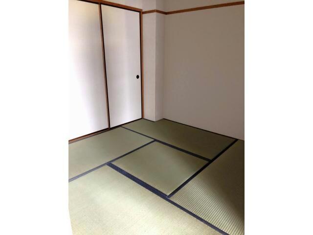  シャトレータカヤ