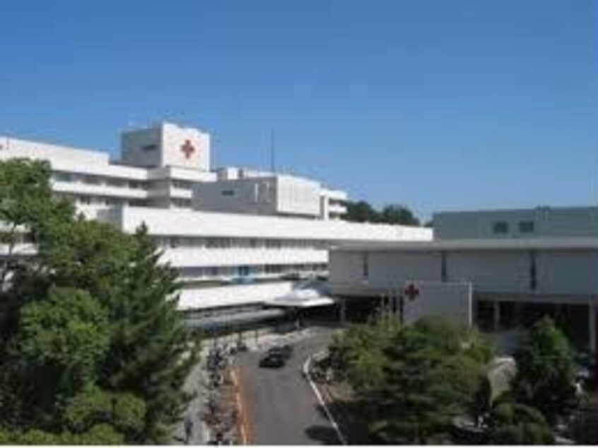 高槻赤十字病院(病院)まで1908m パレスミツワ２号館
