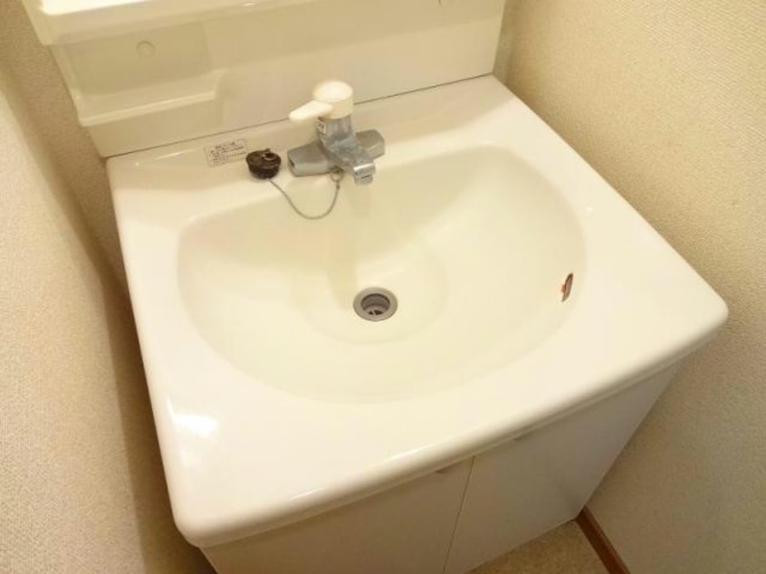  シンココスモス