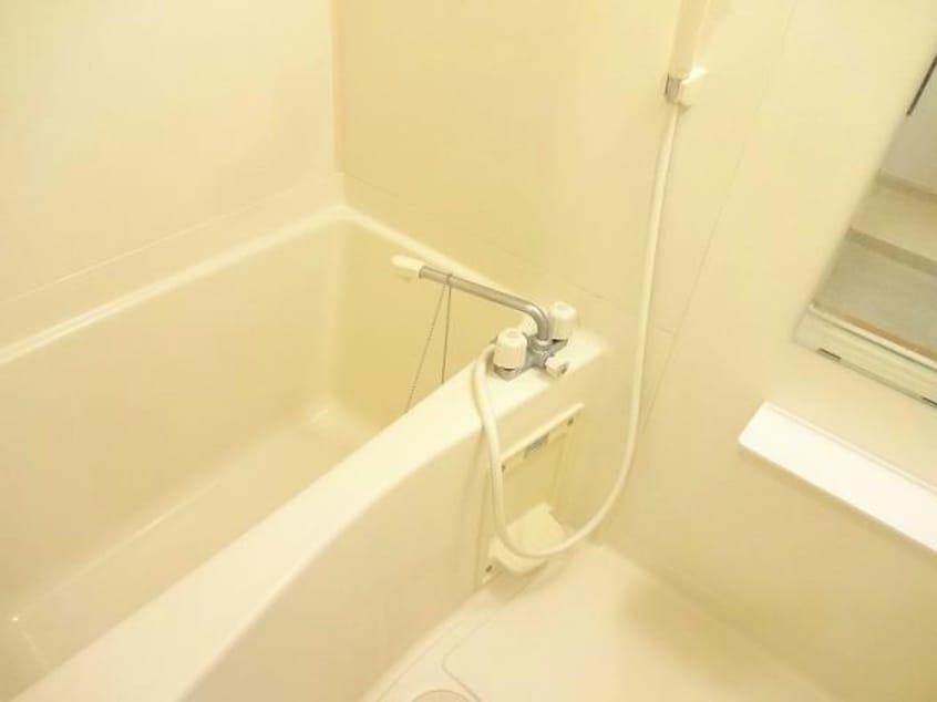  シンココスモス