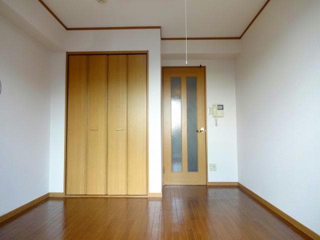  シンココスモス