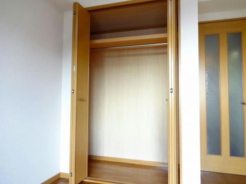  シンココスモス