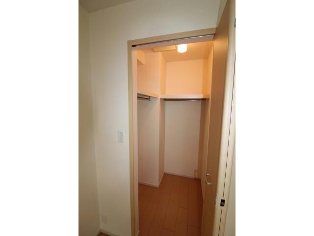 広い チェリーブロッサム