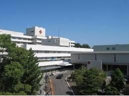 高槻赤十字病院(病院)まで1583m フェリーチェ