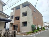 グラシア