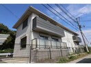 シトリンの外観