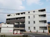 ミレオレイユベル