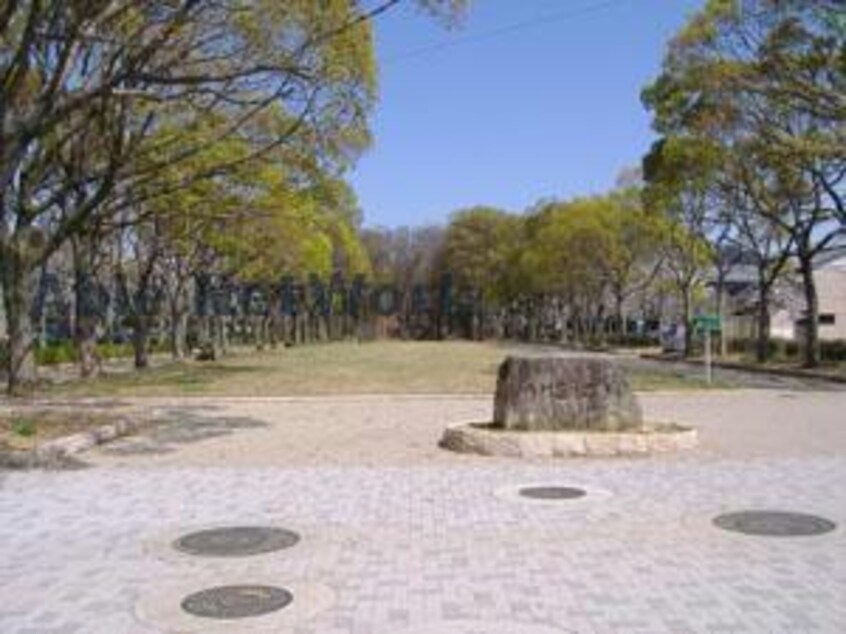 牛川遊歩公園(公園)まで863m ハイホームなかじま