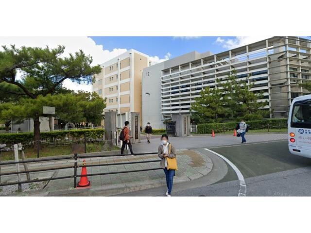 私立沖縄国際大学(大学/短大/専門学校)まで769m ビックツリービュウ