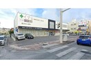ヴァインドラッグ末吉店(ドラッグストア)まで1259m コーポミリオンⅡ