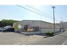 ビッグワン那覇店(ディスカウントショップ)まで1016m コーポミリオンⅡ