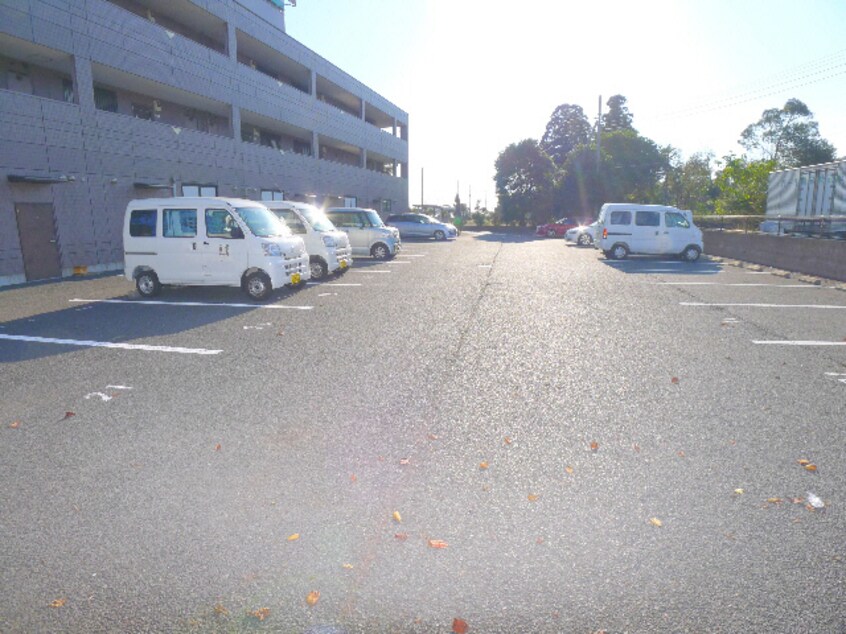  スカイヴァレイ