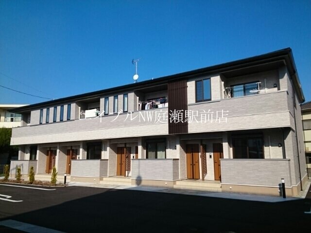  ウィステリア　コーキ　Ｂ