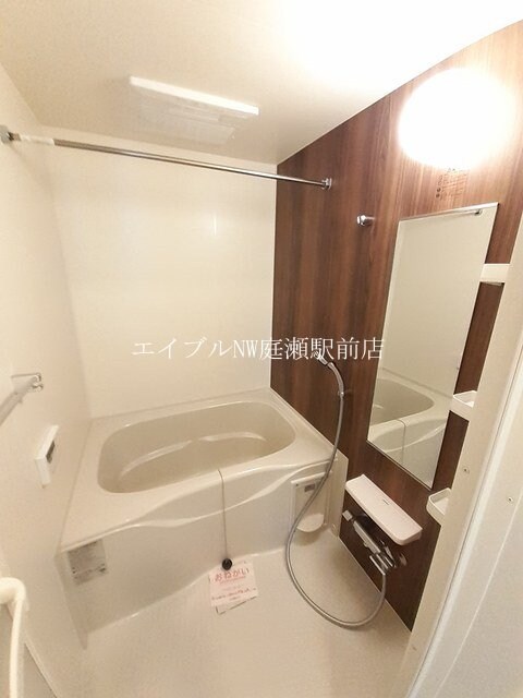  ウィステリア　コーキ　Ｂ