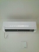  ウィステリア　コーキ　Ｂ