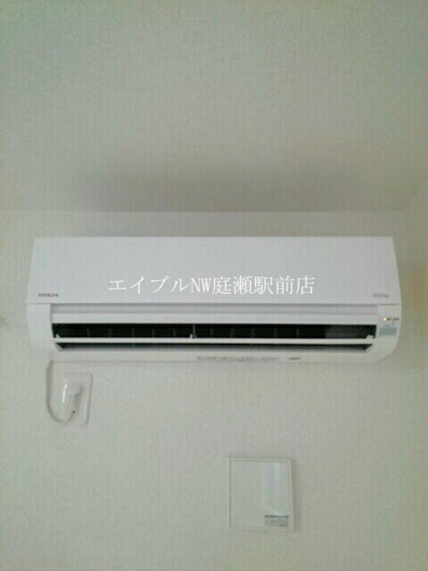  ウィステリア　コーキ　Ｂ