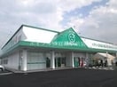 ザグザグ白石店(ドラッグストア)まで387m プランドールテラス