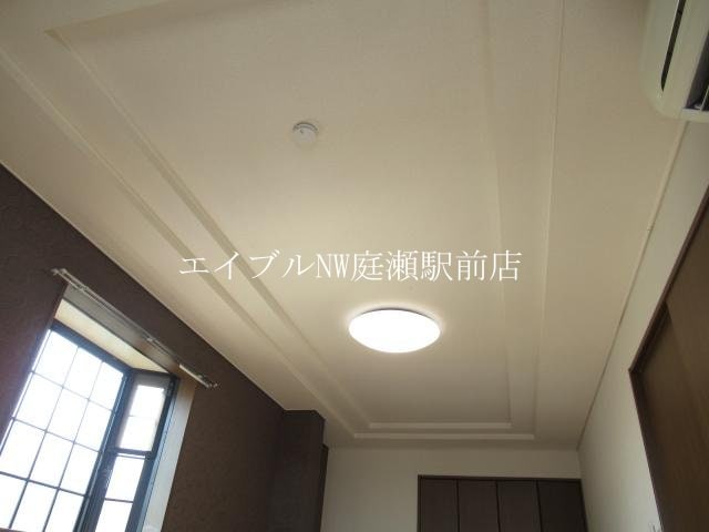  プロニティ　マイス