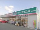 ドラッグセイムス総社真壁店(ドラッグストア)まで402m アンティム