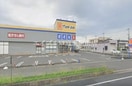 マツモトキヨシ田中店(ドラッグストア)まで1704m サニーメゾン弐番館