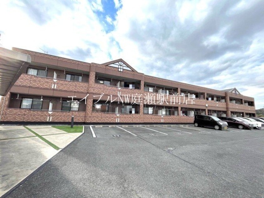  カントリードール