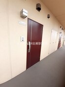  ケイマイティ　Ⅱ