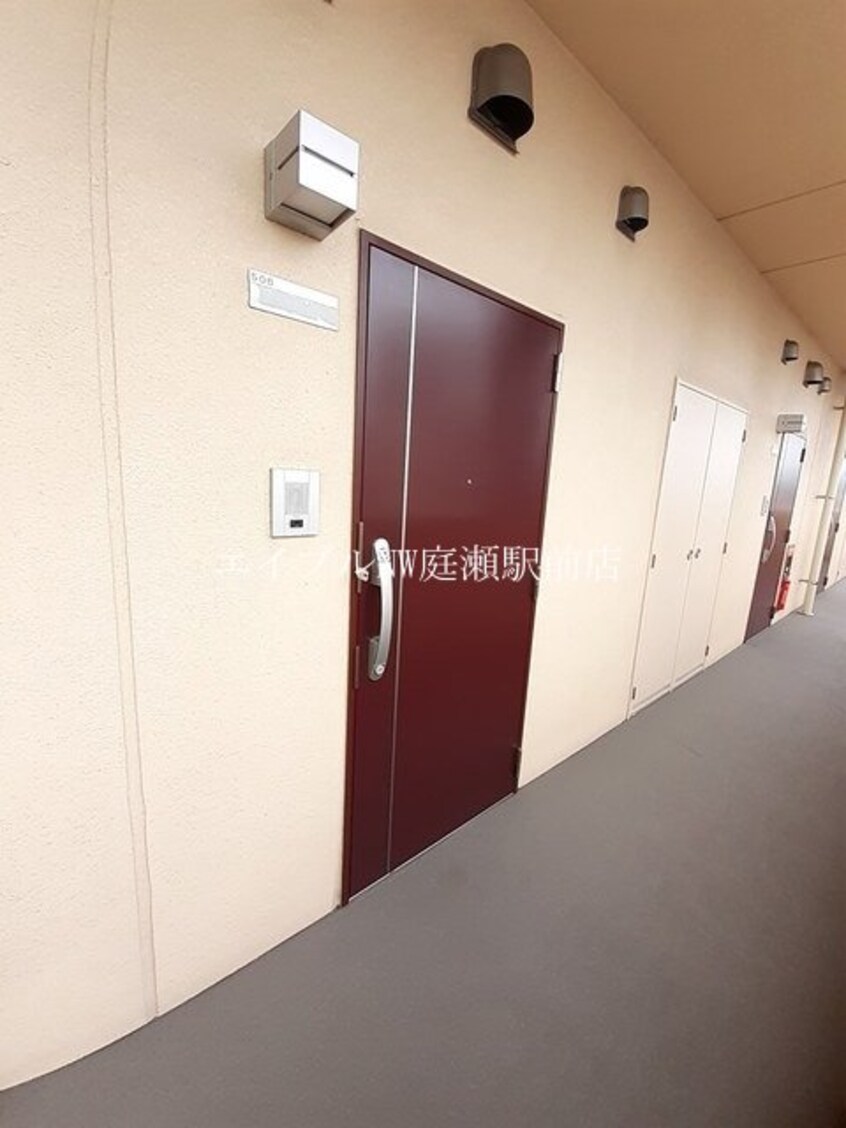  ケイマイティ　Ⅱ