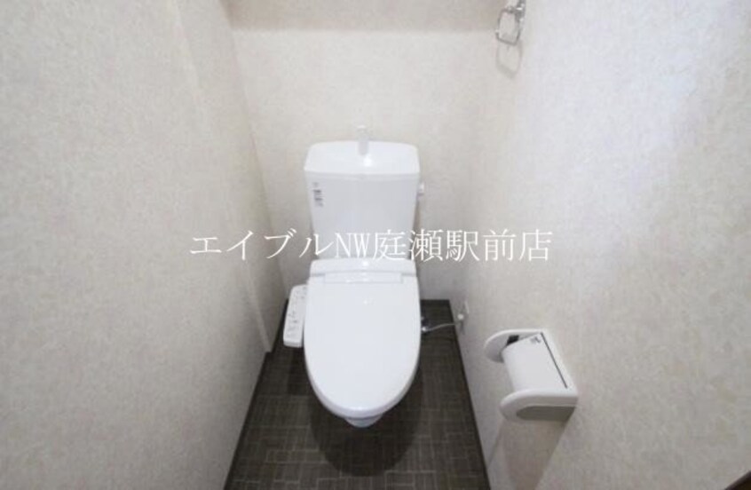  サニーヒルズ大福