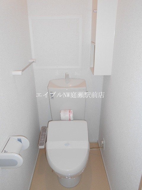  ショコラ　オリーブ