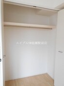  ショコラ　オリーブ