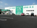 ザグザグ白石店(ドラッグストア)まで605m アネーロ白石