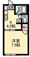 フレグランス野崎Ａ棟 1Kの間取り
