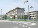 東陽中学校(中学校/中等教育学校)まで1298m セジュールステア　A棟