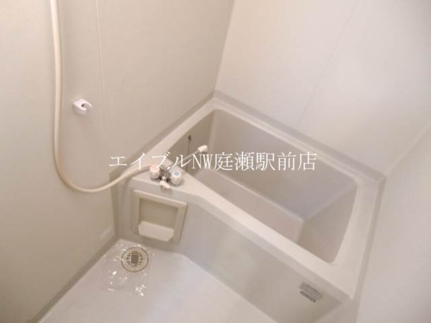  ディアスマーサ