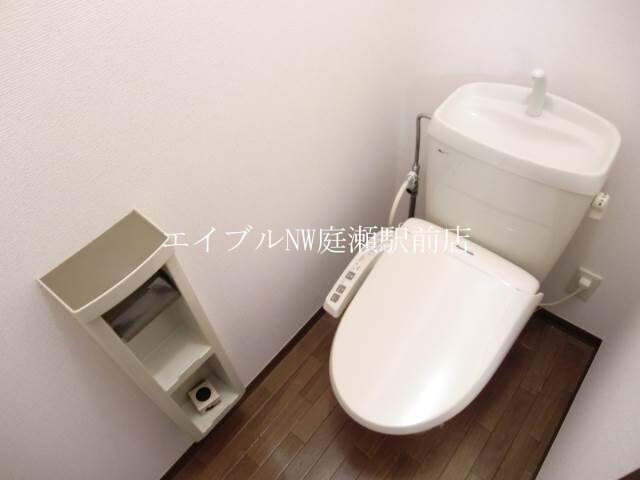  ディアスマーサ