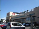 ハローズ総社店(スーパー)まで792m ＳＵＮ’Ｓ　ＧＡＲＤＥＮ　Ａ