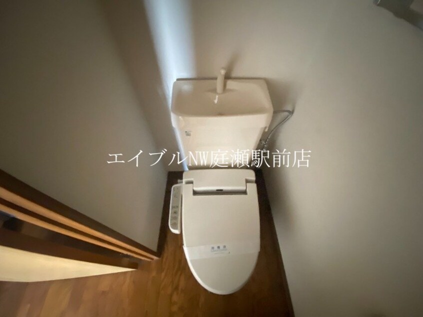  ハピネス