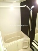  ケイマイティ　Ⅱ