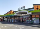 ハピーズ吉備津店(スーパー)まで1400m ニューエルディムゆうＤ