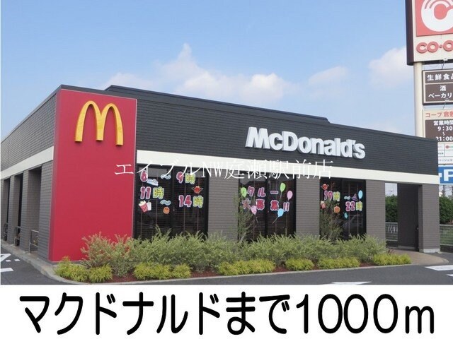 コーナン(電気量販店/ホームセンター)まで850m パラーシオ