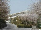 岡山市立妹尾中学校(中学校/中等教育学校)まで1069m ガーデンハウス
