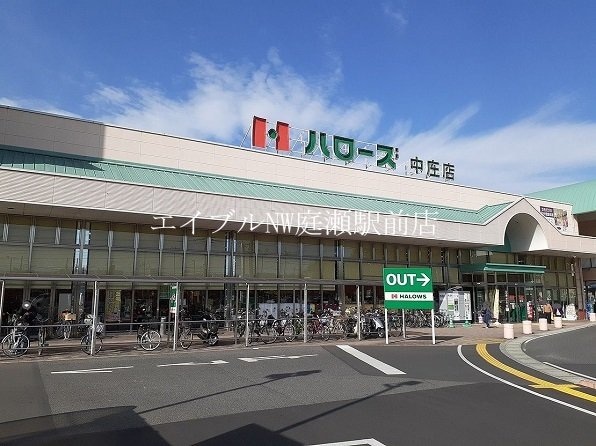 マルナカマスカット店(スーパー)まで1000m ミレニアムハイツ