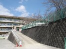 倉敷市立郷内小学校(小学校)まで956m カルフール　Ⅱ
