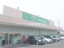 ザグザグ連島店(ドラッグストア)まで308m リビングタウン連島　Ｆ棟