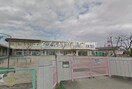 岡山市立今幼稚園(幼稚園/保育園)まで598m パレスマリソル