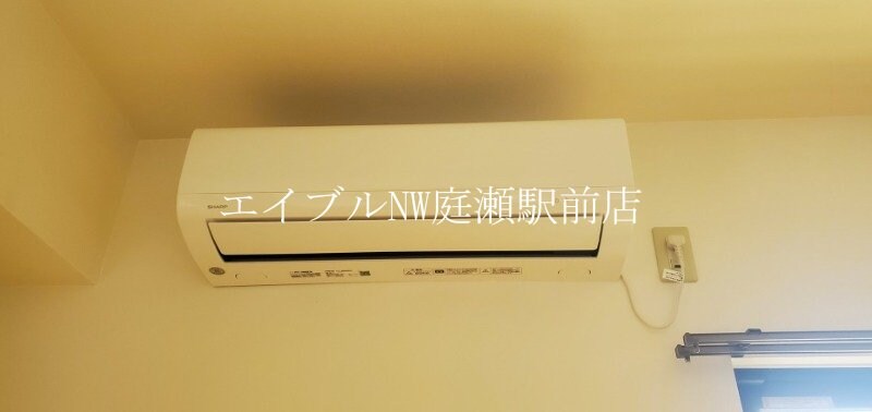 マリベールフレール
