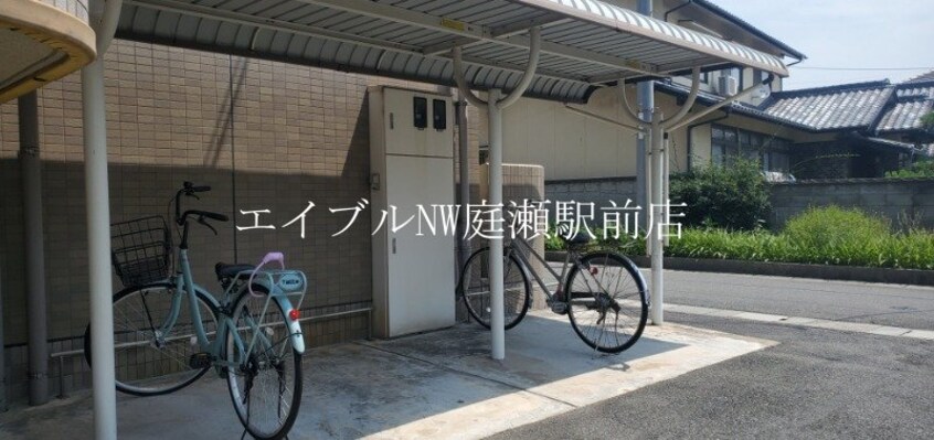  マリベールフレール